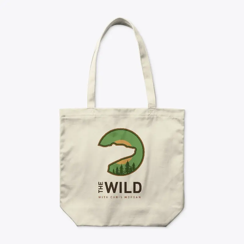 THE WILD 2021 logo2